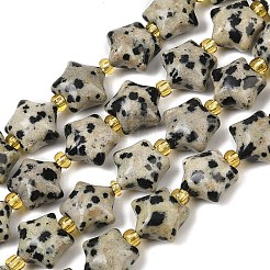 Natural Dalmatian Jasper Beads Strands&nbsp;G-Z080-A08-10mm