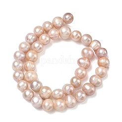 Natural Cultured Freshwater Pearl Beads Strands&nbsp;PEAR-L034-12C