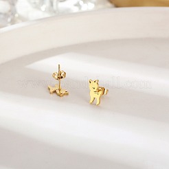304 Stainless Steel Stud Earrings for Women&nbsp;DL2638-1