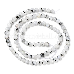 Natural Rainbow Moonstone Beads Strands&nbsp;G-Q1001-A05-01