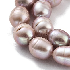 Natural Cultured Freshwater Pearl Beads Strands &nbsp;PEAR-P062-13F