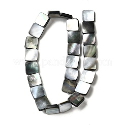 Natural Black Lip Shell Beads Strands&nbsp;BSHE-D300-07-15mm