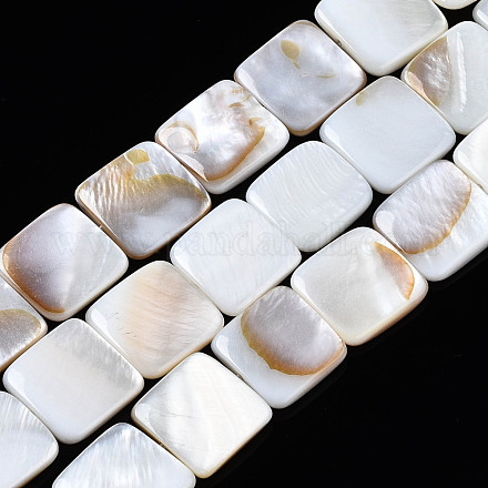 Natural Freshwater Shell Beads Strands SHEL-Q024-014-1