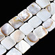 Natural Freshwater Shell Beads Strands&nbsp;SHEL-Q024-014-1
