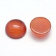 Natural Carnelian Cabochons&nbsp;G-P393-R18-10mm-2