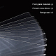 OPP Cellophane Bags&nbsp;OPC-PH0001-25A-2
