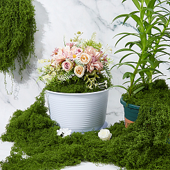 Polyester Artificial Moss&nbsp;DIY-WH0671-078