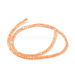 Natural Trochus Shell Beads Strands&nbsp;SSHEL-H070-02D