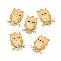 Painted Alloy Pendants&nbsp;LS-PALLOY-P288-01G-03