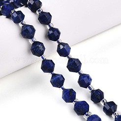 Natural Lapis Lazuli Beads Strands&nbsp;G-O201B-25-1