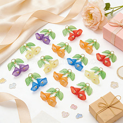 50Pcs 5 Colors Transparent Acrylic Pendants&nbsp;PALLOY-SZ00070