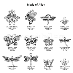 120Pcs 12 Styles Tibetan Style Alloy Charms&nbsp;TIBEP-CJ0001-99