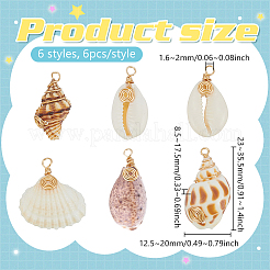 36Pcs 6 Styles Natural Mixed Shell Pendants&nbsp;PALLOY-PHE00014