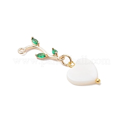 6Pcs 6 Styles Natural Freshwater Shell Pendants&nbsp;PALLOY-JF04148-01