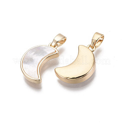 Brass Pendants&nbsp;KK-R134-038-NF