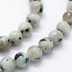 Natural Sesame Jasper/Kiwi Jasper Beads Strands&nbsp;G-I199-29-6mm