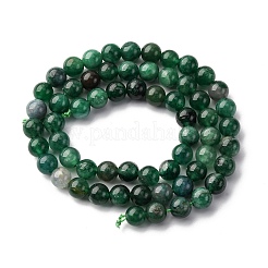 Natural Fuchsite Beads Strands&nbsp;G-K393-A02-6mm