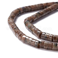 Natural Labradorite Beads Strands&nbsp;G-A201-A01