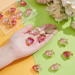 16Pcs 2 Colors Transparent Acrylic Pendants&nbsp;MACR-UN0001-07