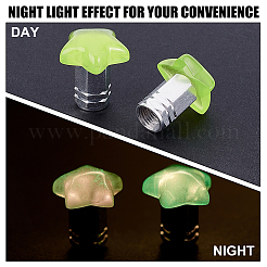 20Pcs 5 Colors Resin Star & Aluminium Alloy Tire Valve Stem Caps&nbsp;HJEW-NB00310