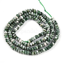 Natural Green Spot Jasper Beads Strands&nbsp;G-T141-41