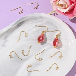 SHEGRACE Brass Earring Hooks&nbsp;XGR0138G-154G