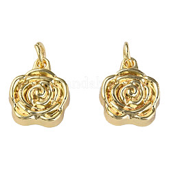 Brass Pendants&nbsp;KK-N233-249LG