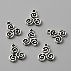 Tibetan Style Alloy Charms&nbsp;FIND-CJC0006-29AS