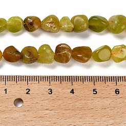 Natural Yellow Green Opal Beads Strands&nbsp;G-P497-01E-34A