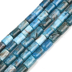 Natural Apatite Beads Strands&nbsp;G-F832-B09-01