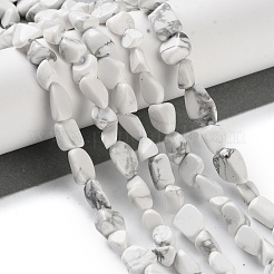 Natural Howlite Beads Strands&nbsp;G-P497-01C-64