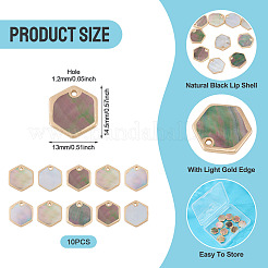 10Pcs Natural Black Lip Shell Hexagon Charms&nbsp;BSHE-TA0001-25