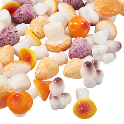 30Pcs 6 Styles Mushroom Series Resin Display Decorations&nbsp;DJEW-TA0001-21