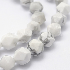 Natural Howlite Beads Strands&nbsp;G-F523-28-6mm