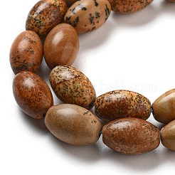 Natural Picture Jasper Beads Strands&nbsp;G-B106-B21-01