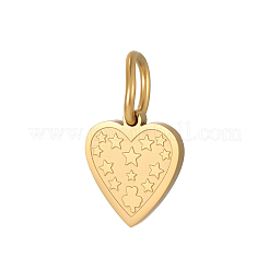 304 Stainless Steel Charms&nbsp;STAS-OY009-70G