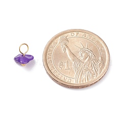 Natural Chip Dyed Shell Charms&nbsp;PALLOY-JF01338-01