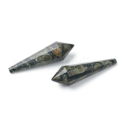 Natural Kambaba Jasper Beads&nbsp;G-H256-09