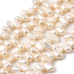 Natural Cultured Freshwater Pearl Beads Strands&nbsp;PEAR-I007-03E-02A