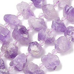 Raw Rough Natural Amethyst Beads Strands&nbsp;G-L642-D04-01