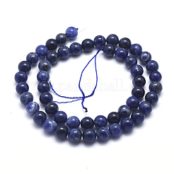 Natural Sodalite Beads Strands&nbsp;G-K224-01-8mm