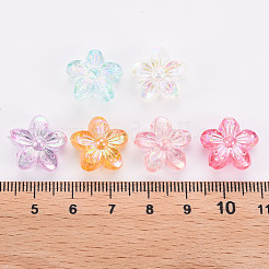 Transparent Acrylic Beads&nbsp;X-TACR-S154-45C