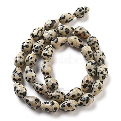 Natural Dalmatian Jasper Beads Strands&nbsp;G-B106-A29-02