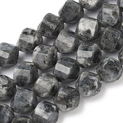 Natural Larvikite Beads Strands&nbsp;G-C267-B24