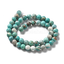Natural Howlite Beads Strands&nbsp;X-G-L555-02C-02
