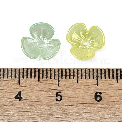 Opaque Acrylic Beads&nbsp;OACR-C022-06
