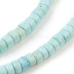 Natural Howlite Beads Strands&nbsp;X-G-P398-F