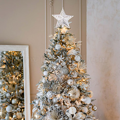 2Pcs 2 Colors Plastic Star Tree Top Decoration&nbsp;KY-TA0001-69