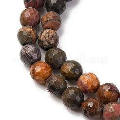 Natural Polychrome Jasper/Picasso Stone/Picasso Jasper Beads Strands&nbsp;G-E571-25A