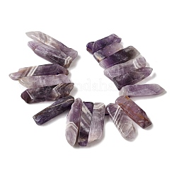 Natural Amethyst Beads Strands&nbsp;G-S386-D16